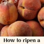 A bowl full of peaches.