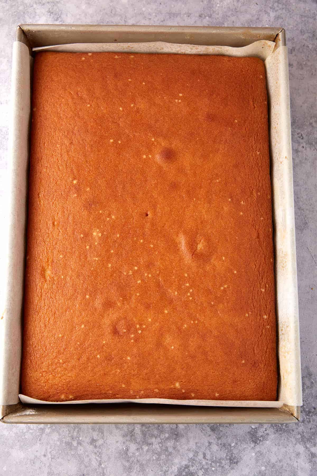 A baked vanilla cake.