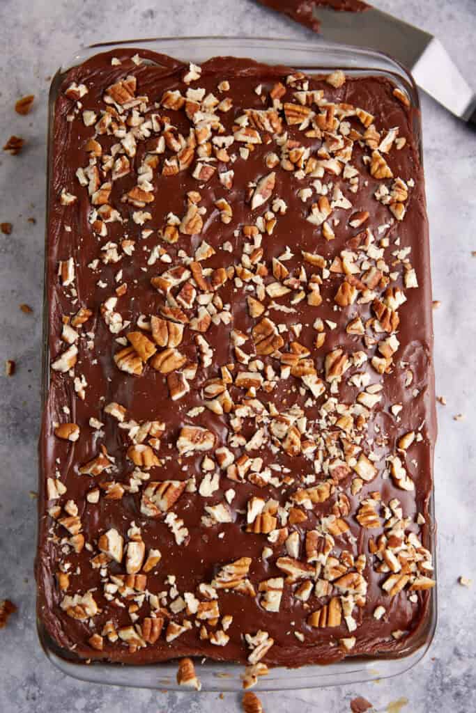 A chocolate cake covered with pecans.