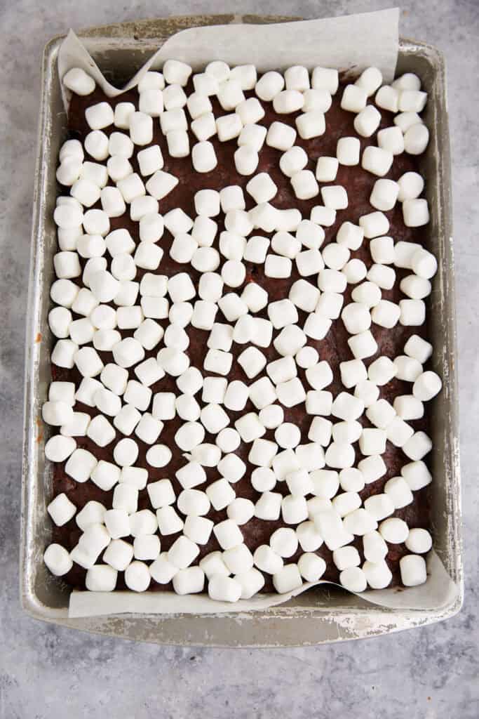 Marshmallows sprinkled on top of a cake.