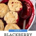 Blackberry Cobbler in dish.