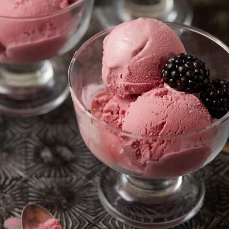 An ice cream dish with scoops of blackberry ice cream.
