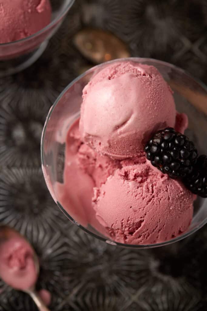 An ice cream dish with two scoops of blackberry custard ice cream.