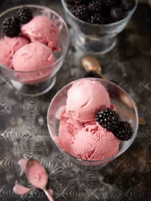 Ice cream dishes with scoops of blackberry ice cream.