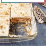Peach Icebox Cake in baking dish.