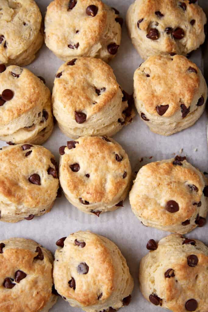 A baking sheet of baked chocolate chip biscuits.