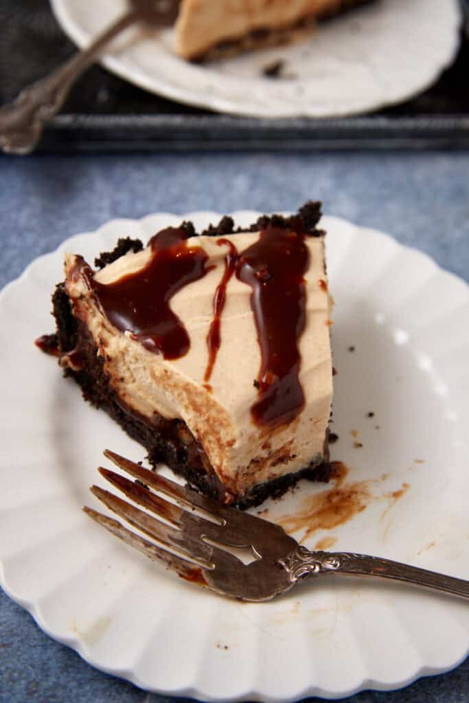 A slice of turtle pie with a bite taken out.