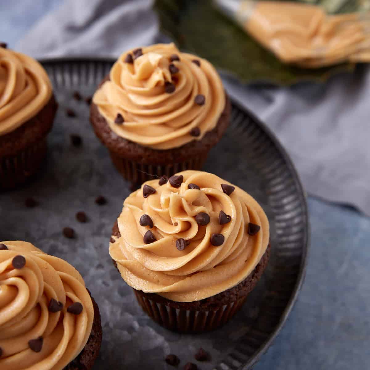 chocolate cupcakes with peanut butter cream cheese frosting with chocolate chips on top.