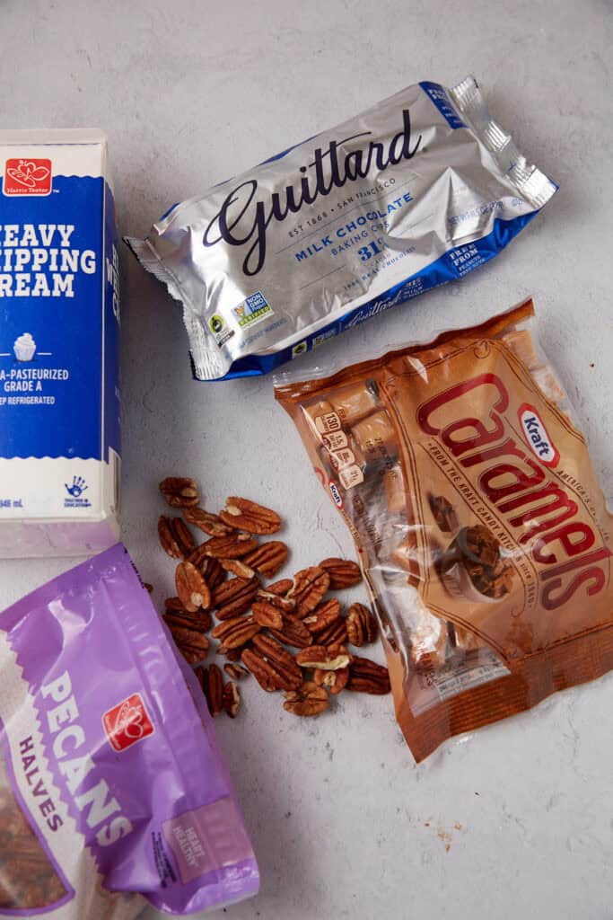 ingredients other than make turtles on a gray background.