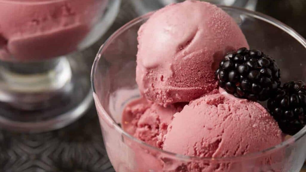 An ice cream dish with scoops of blackberry ice cream.
