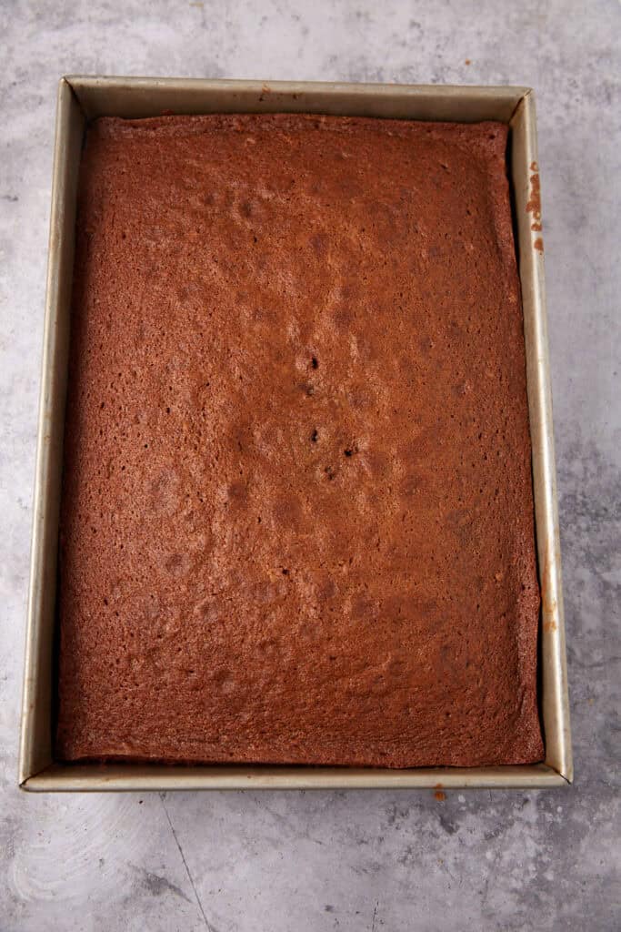 chocolate cake in a baking pan.