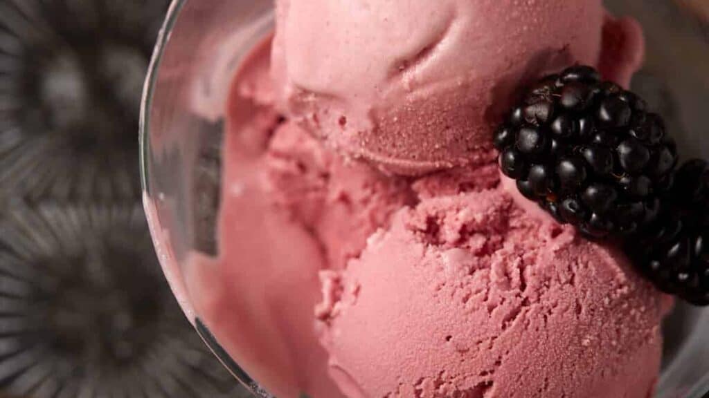 An ice cream dish with two scoops of blackberry custard ice cream.