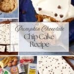 pumpkin chocolate chip cake pin collage