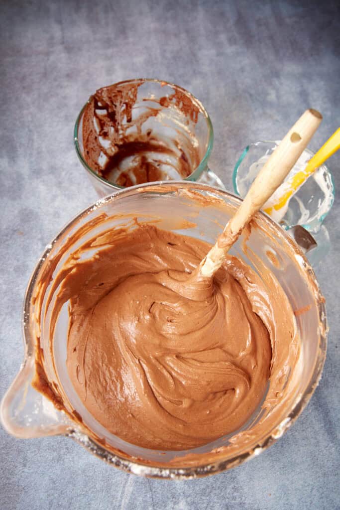 German chocolate cake batter smoothed into two round cake pans before baking.