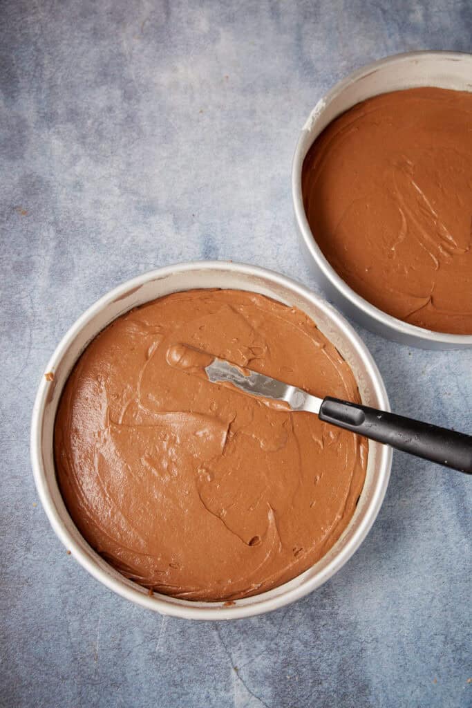 German chocolate cake batter smoothed into two round cake pans before baking.